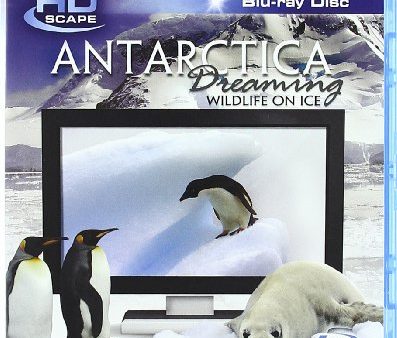 ANTARCTICA DREAMING: WILDLIFE [BLU-RAY] Sale